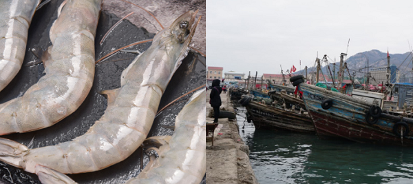 建造一個海鮮冷庫多少錢？